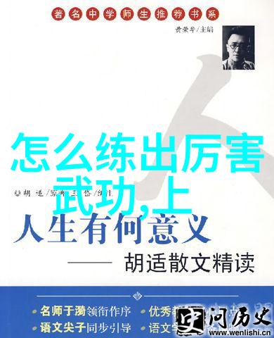 武林三大高手携六字秘籍拳理如同天地捶击