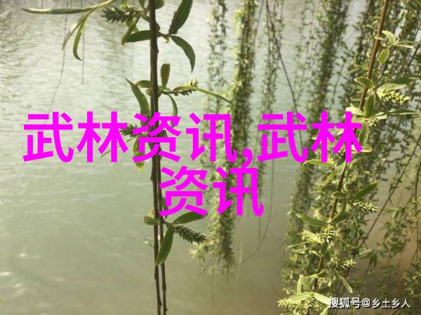 大名府内家拳秘谱