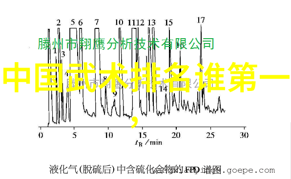 武林铁伞门守护拳法之门