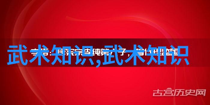 关锡华教你中国功夫初学者如何开始太极拳之路