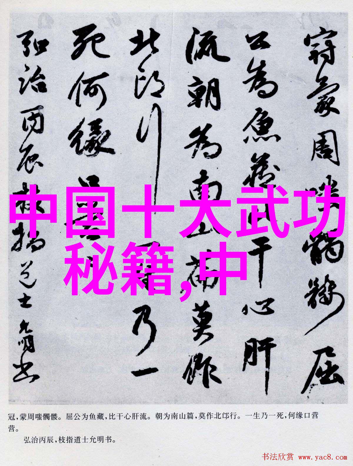 身法变化万千介绍不同国家武术动作语言的多样性