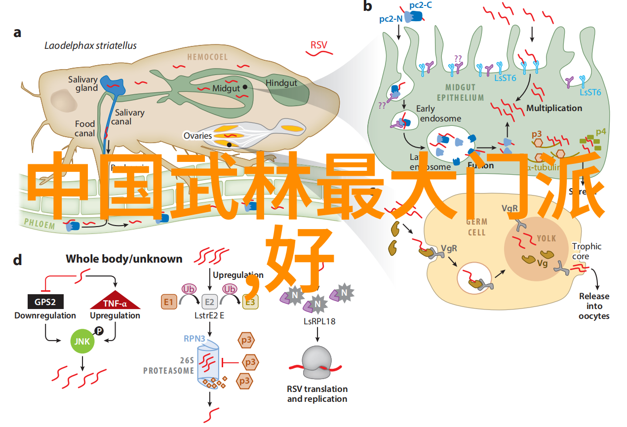 崆峒派又是怎样将实用与观赏完美融合的现存门派呢