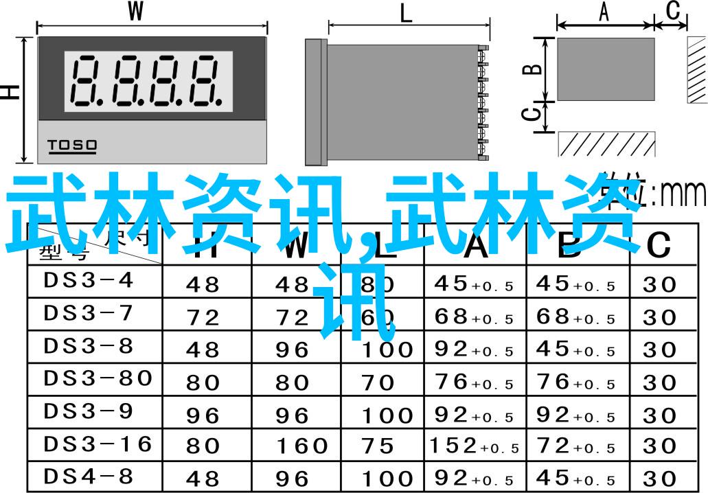 安徽武林之巅八极拳犹如江山美景中的翠峦静谧而不失威严