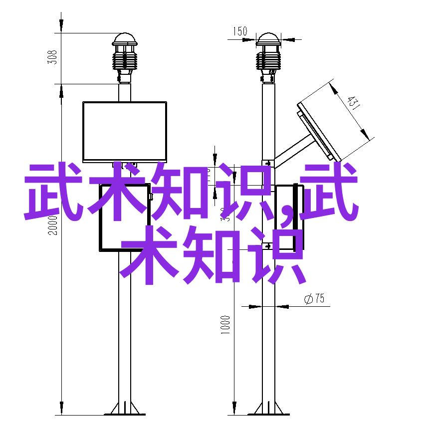 武道之巅征服极限的英雄们