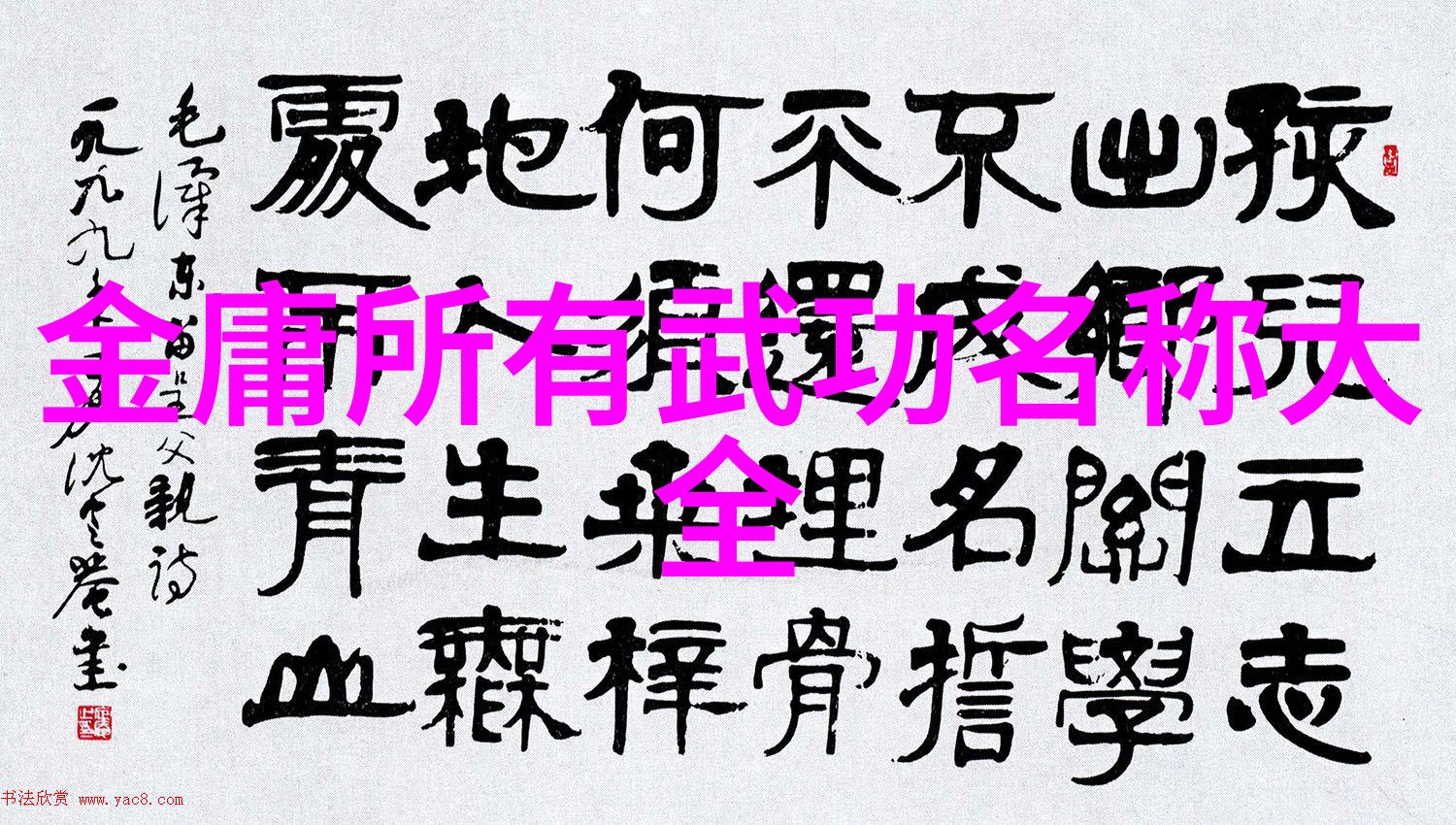 中国传统武术拳法岂不正是红拳文化的骄傲