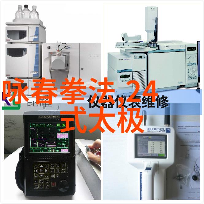 太极拳精髓探秘揭秘24式每一式动作图解视频