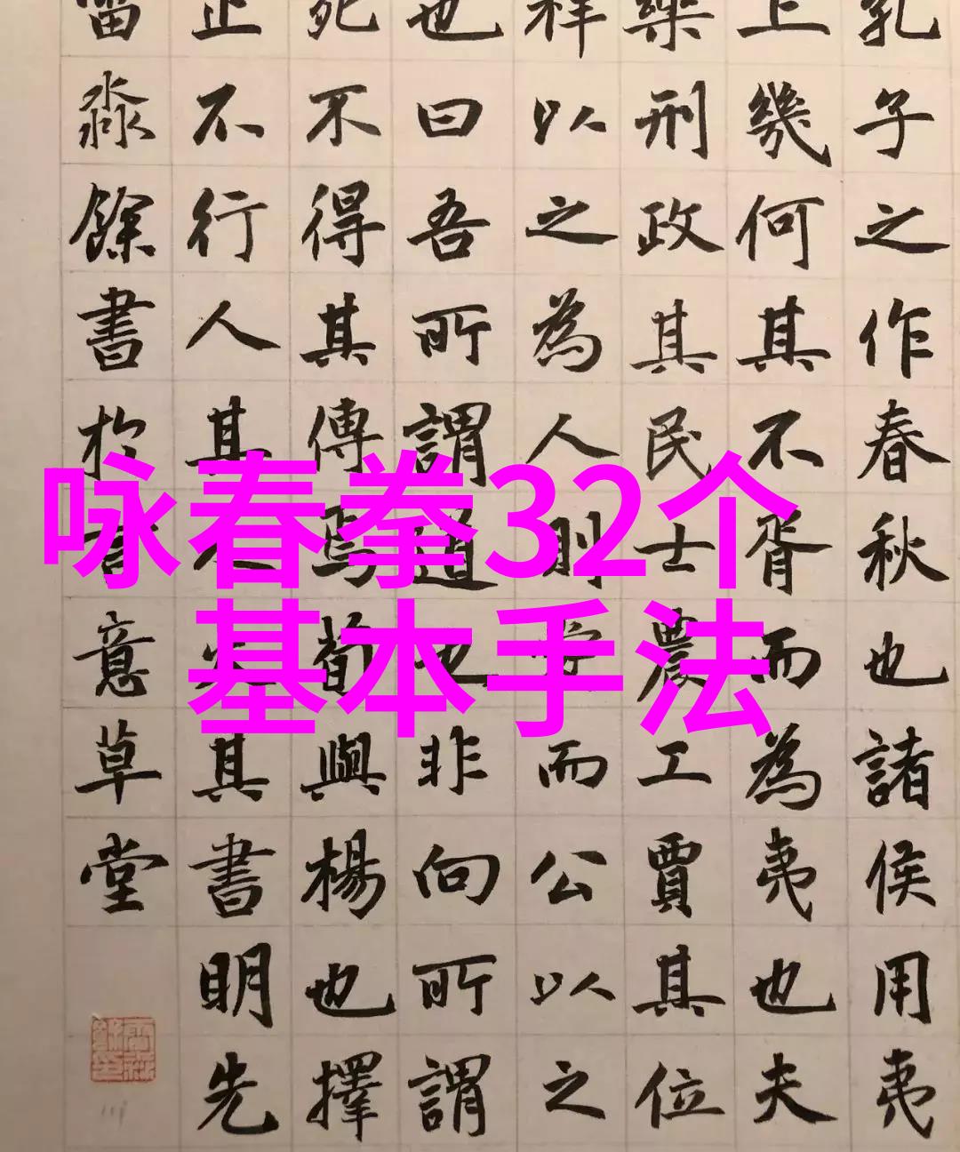 揭秘中国功夫秘籍大全练太极拳的三大要诀杨应建指引您走向内力之路