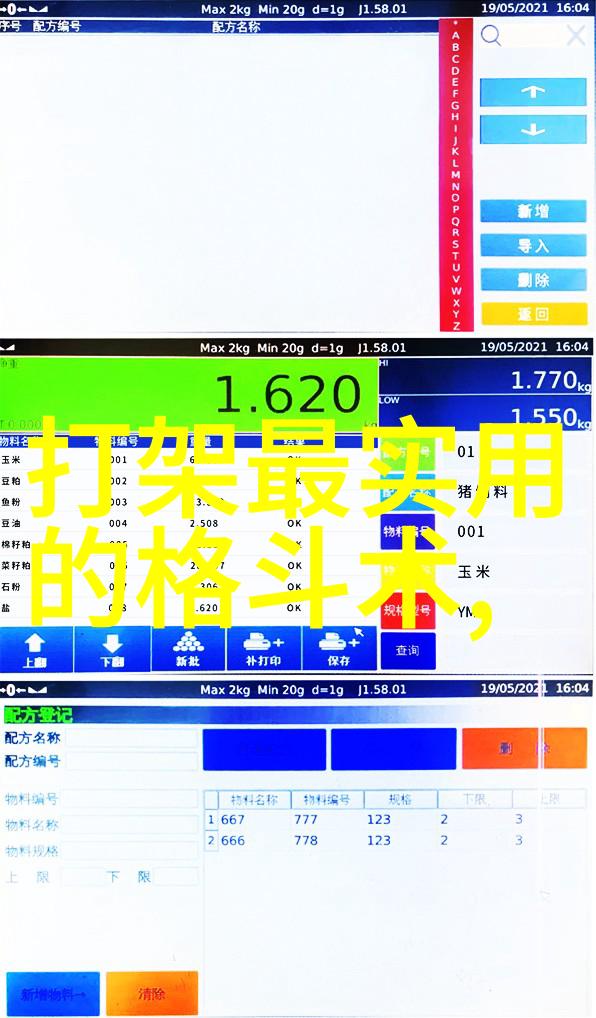 中华武学宝库中国30个武术门派的精髓