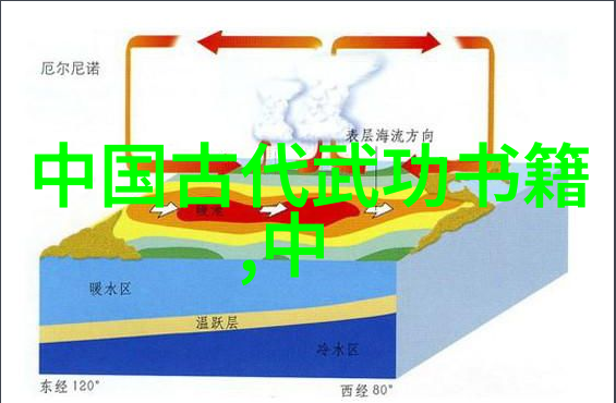 姜可的故事姜可小说全文免费阅读