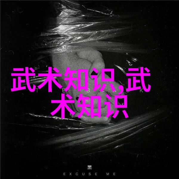 武术之争-揭秘哪门武术最厉害传统技艺与现代实力