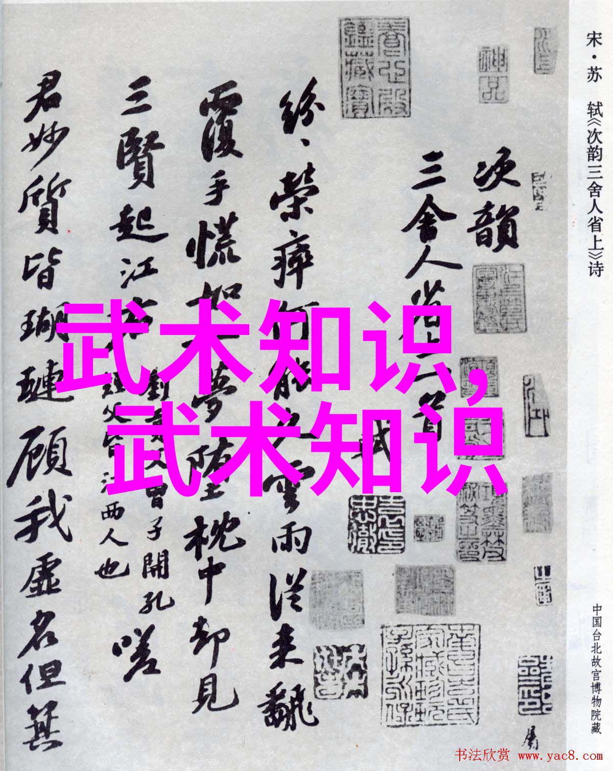 武林秘录张三丰的1979年篇章