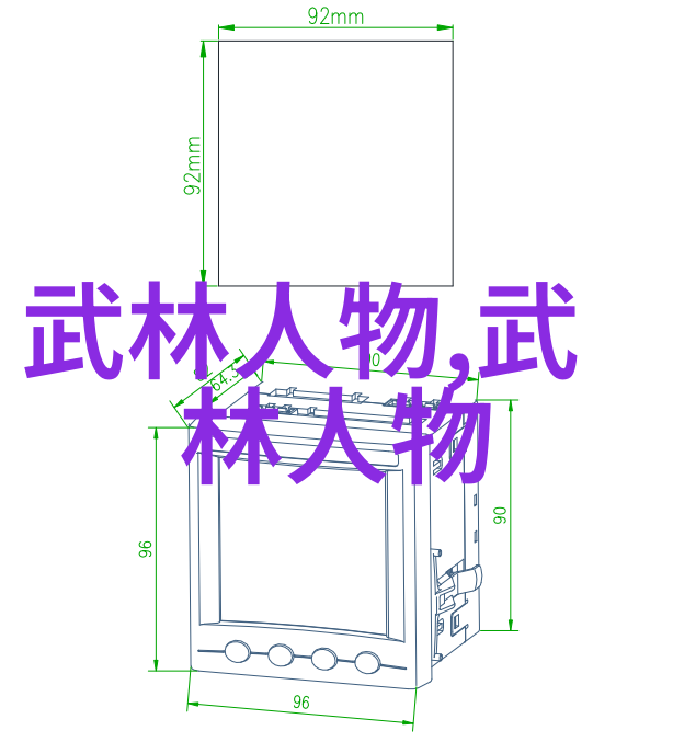 太极拳24式自学图解轻松掌握内外八卦的动态美学