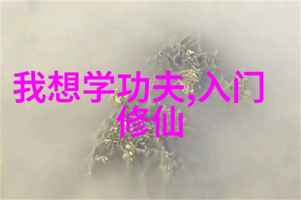 古代武功秘籍口诀 - 悟道奇门解读古代武学口訣之谜