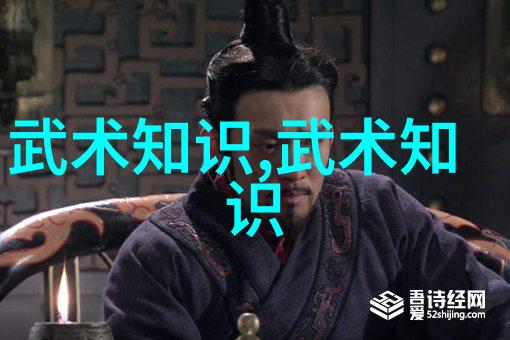 金庸武林辉煌揭秘小说中所有武功名称的奇妙世界