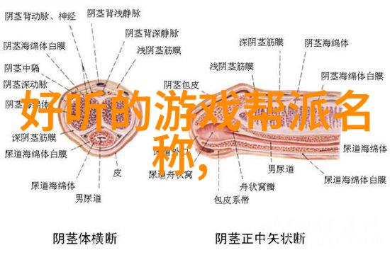 天涯漫步门派天涯漫步中的武林之巅