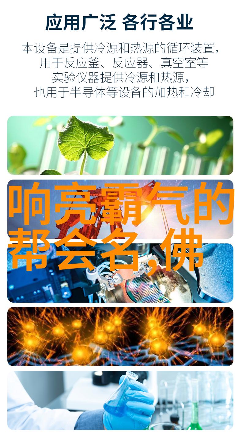 湖南武术神话一指门霹雳之拳天地无敌