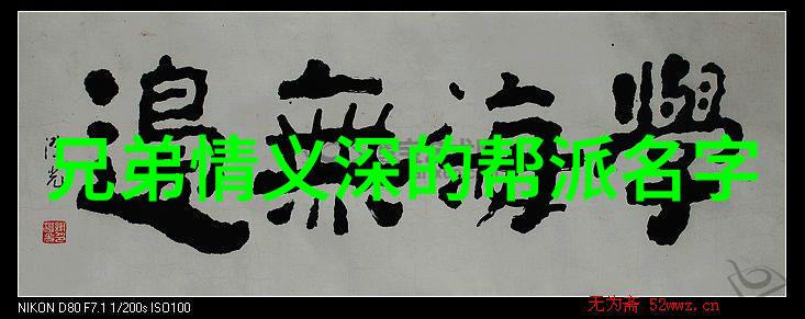 唯美古风仙盟名字寻觅梦回我为何选择月影幽灵这个名字