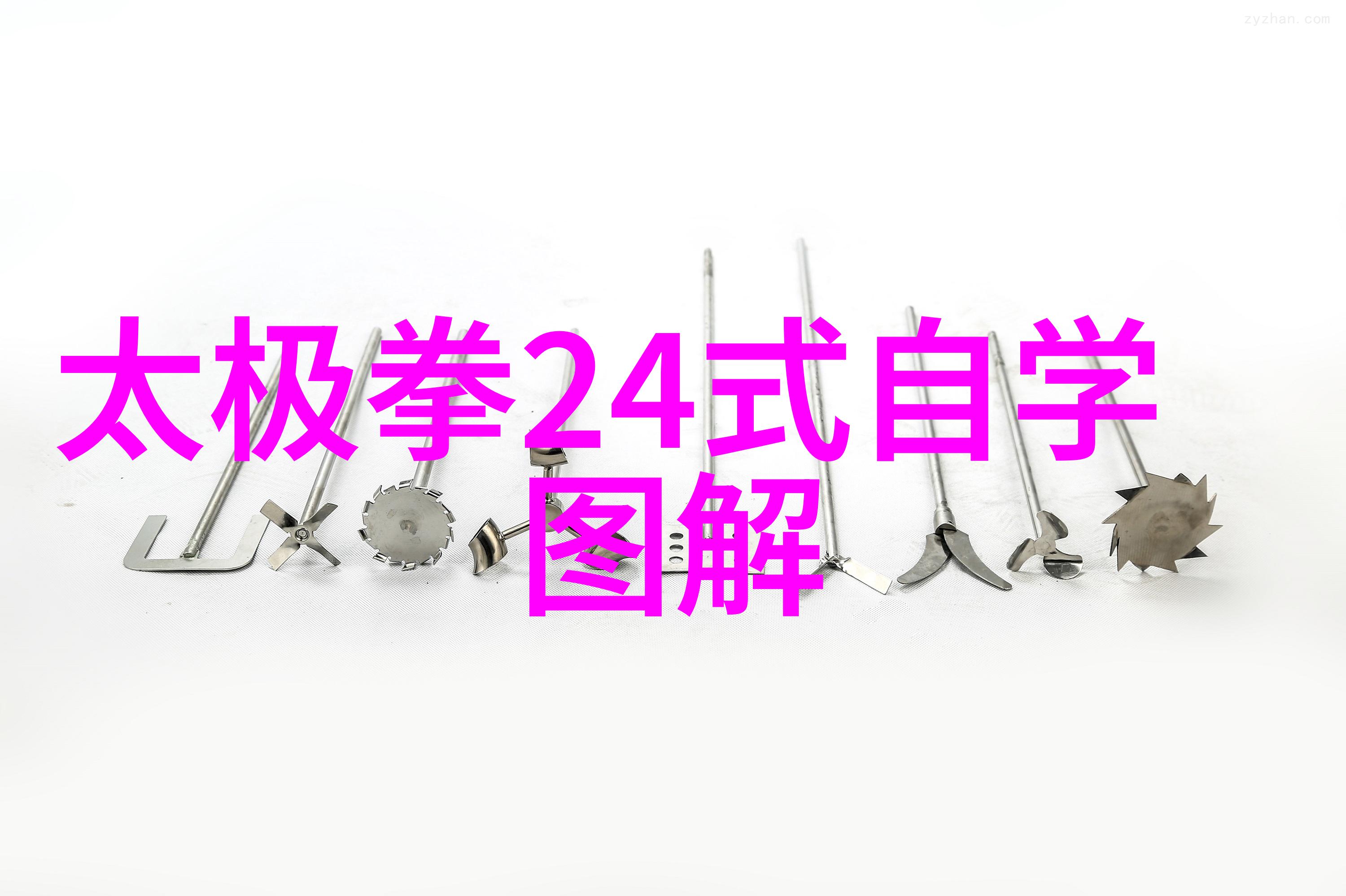 从基础到精通利用48式太极拳全套视频逐步提高技能