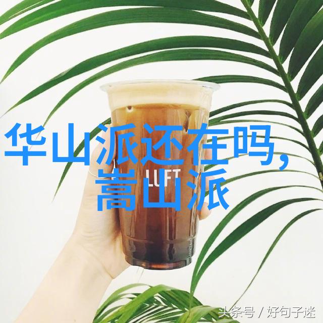 武林绝学全集拳法秘诀详解