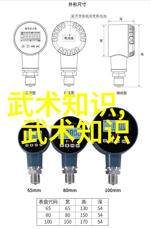 功夫世界杯中国各大门派谁能夺冠