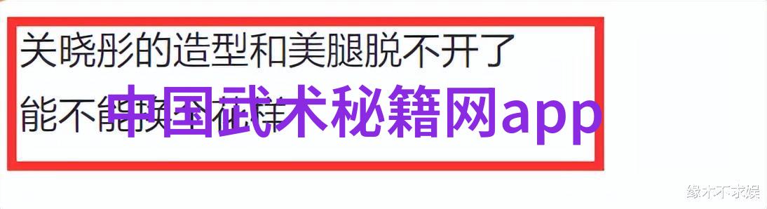 最强的武功秘籍我手中的绝世武林秘籍揭秘如何掌握一生难求的内力