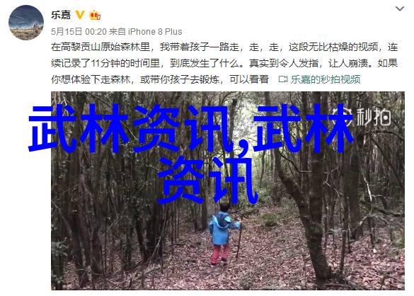 轻功飞翔的秘诀如何将内力化身翅膀