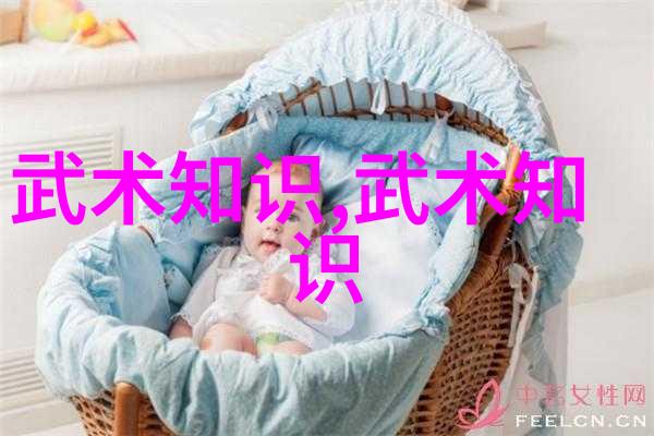 太极拳的深度解析揭秘24式正面与背面的奥义