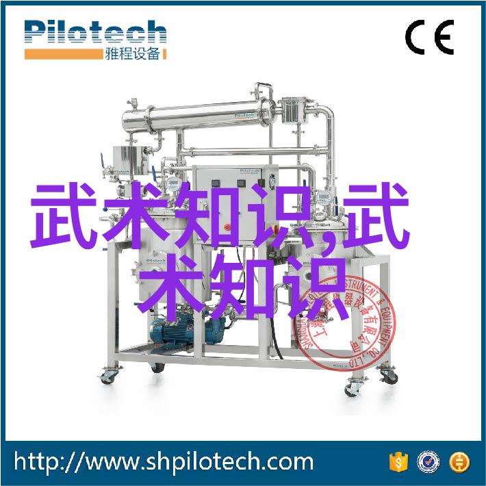 掌控力量分析最具威胁的武术风格