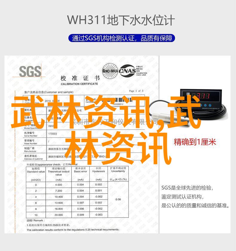 探秘武林高峰揭秘究竟是哪门武功霸主世界