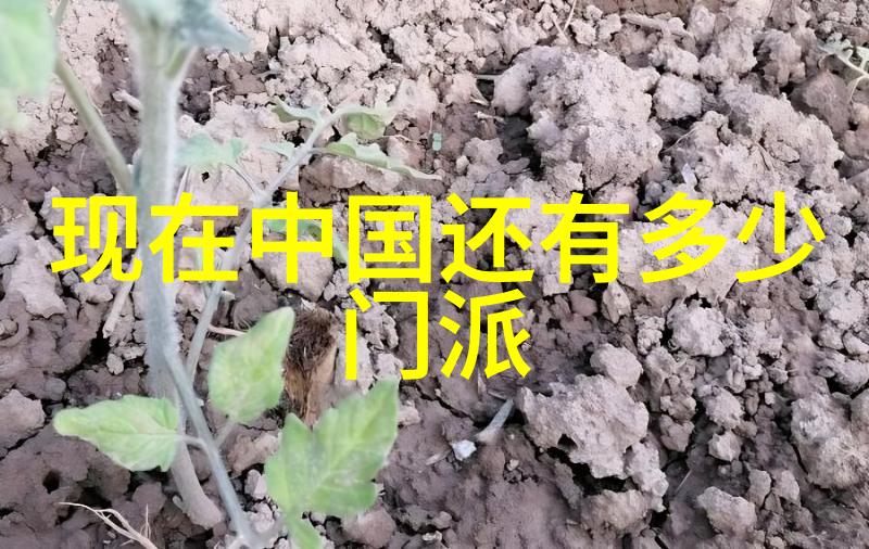 江湖风云录桃花岛主与神雕侠侣的传奇交集