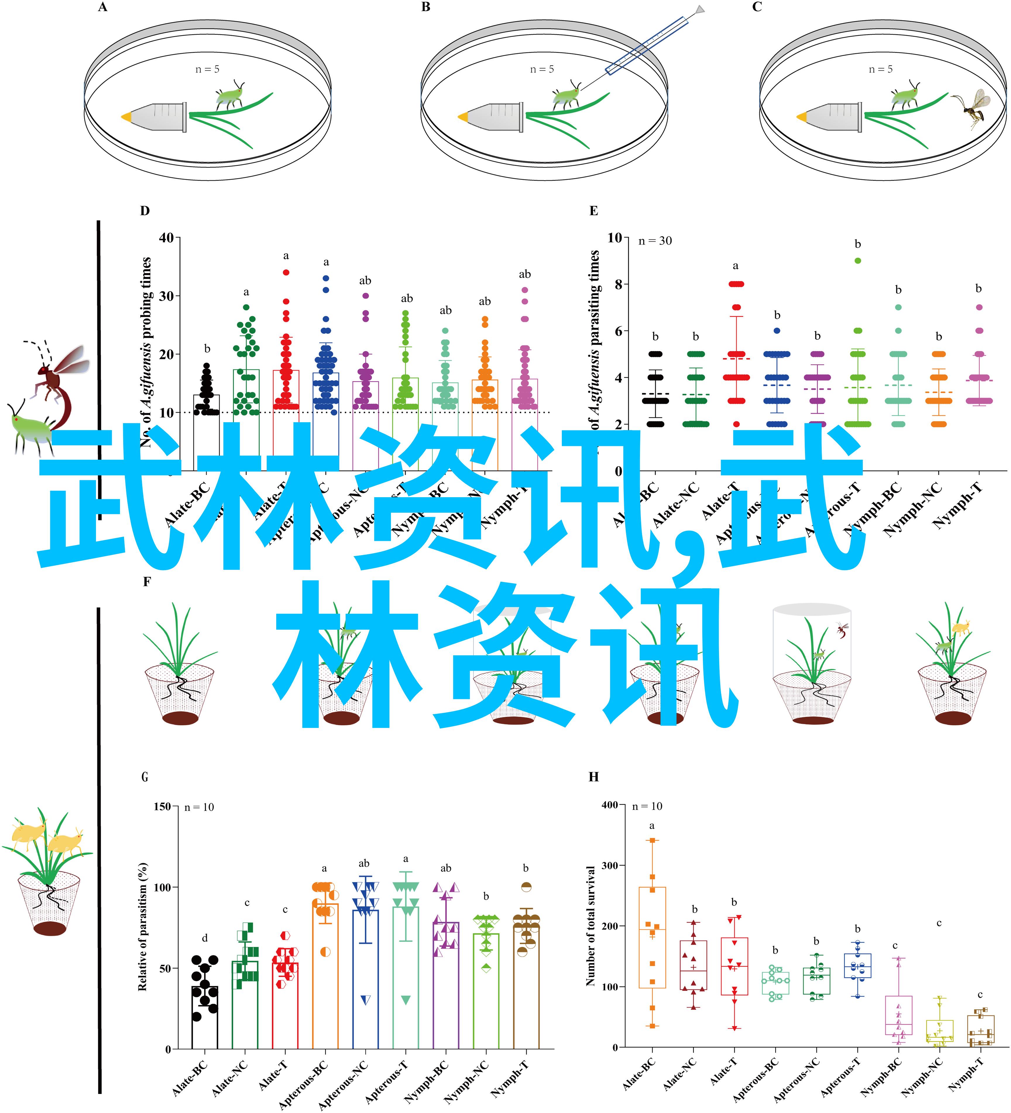 武林绝学咏春拳的秘密被揭晓