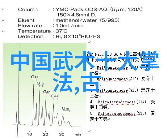 武林秘籍解密揭开古代武功奥秘的篇章