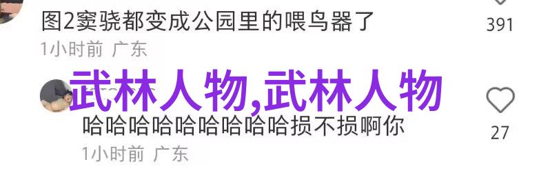 中华名拳八极拳初学武术套路拳法的精髓