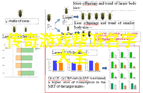 武林十大门派名字-绝技传承揭秘武林十大门派的荣耀与辉煌