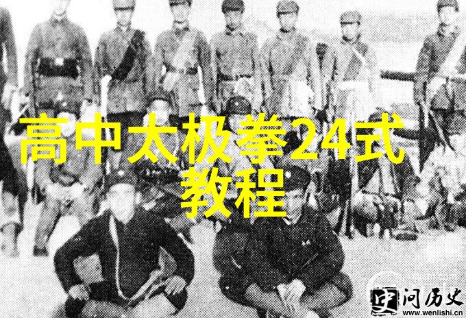 中国武术拳法体系的探究历史演变与实战应用