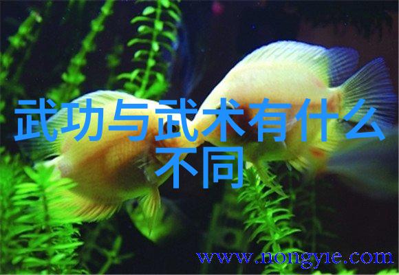 好听的家族名字古风-传承经典探索那些响当当的古风家族名字