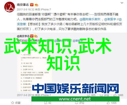 武功自学教学视频揭秘内功修炼与外门打法