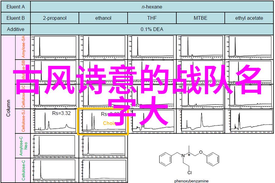 中国武术 - 中华武学巅峰探索中国现在最厉害的门派