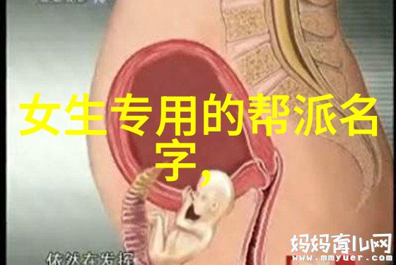 永春白鹤拳犹如天上的飞鸟一旦传授便需遵循严格的武功自学教学视频原则就像老鹰教小鹰如何猎食一样注重实践