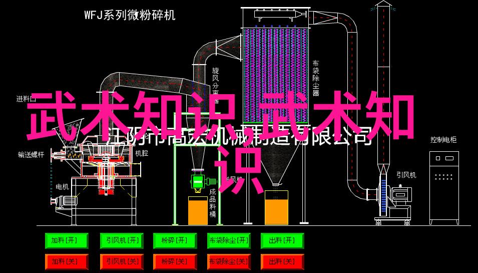 从历史角度看为什么有些中国功夫更容易适应当代竞技和自卫训练需求