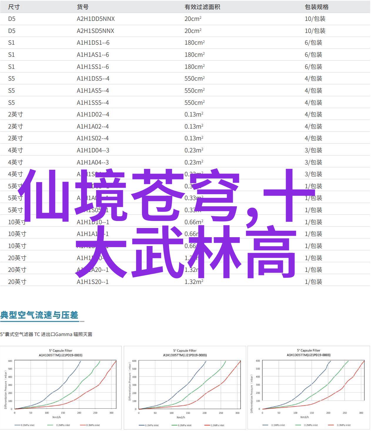 江苏武林门派字门太极拳