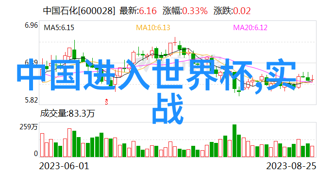 霸道武林帮派临清肘捶揭秘门派拳种的绝学之谜