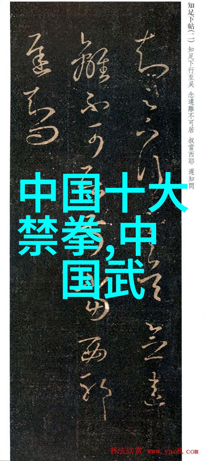 少林最厉害的拳法太极梅花螳螂拳拦截上