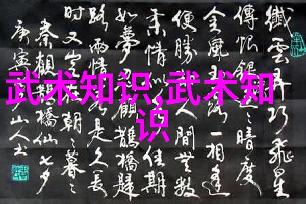 实战性最强的十大武术中华拳法泰国传统武术印度古典武器巴西格兰披治技巧菲律宾马尼拉自卫术高山少林功夫日