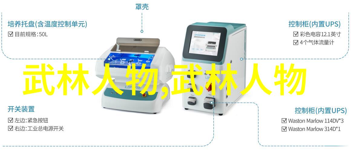 太极24式分解式介绍教你我如何一步步掌握这门古老武术的精髓