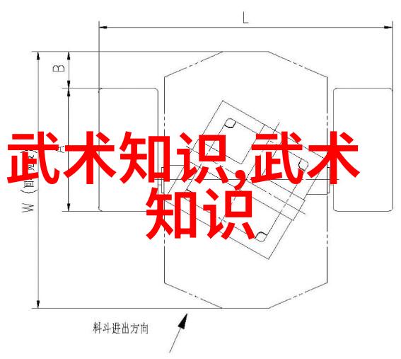 门派拳种南拳与华拳哪个更胜一筹