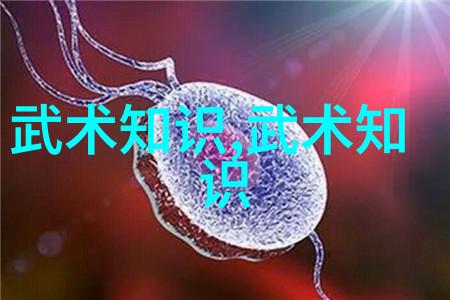 咏春拳法与太极养生之道叶式史探究