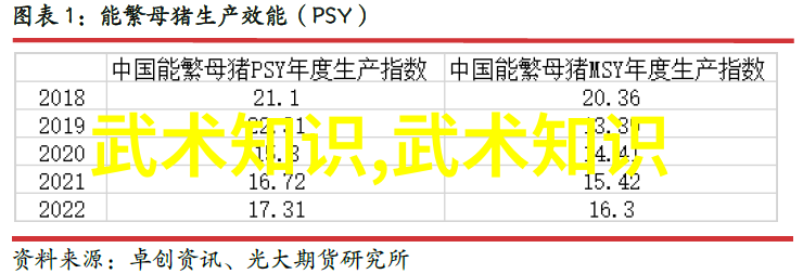 兵器不见了精神依然在中国内家拳的魅力