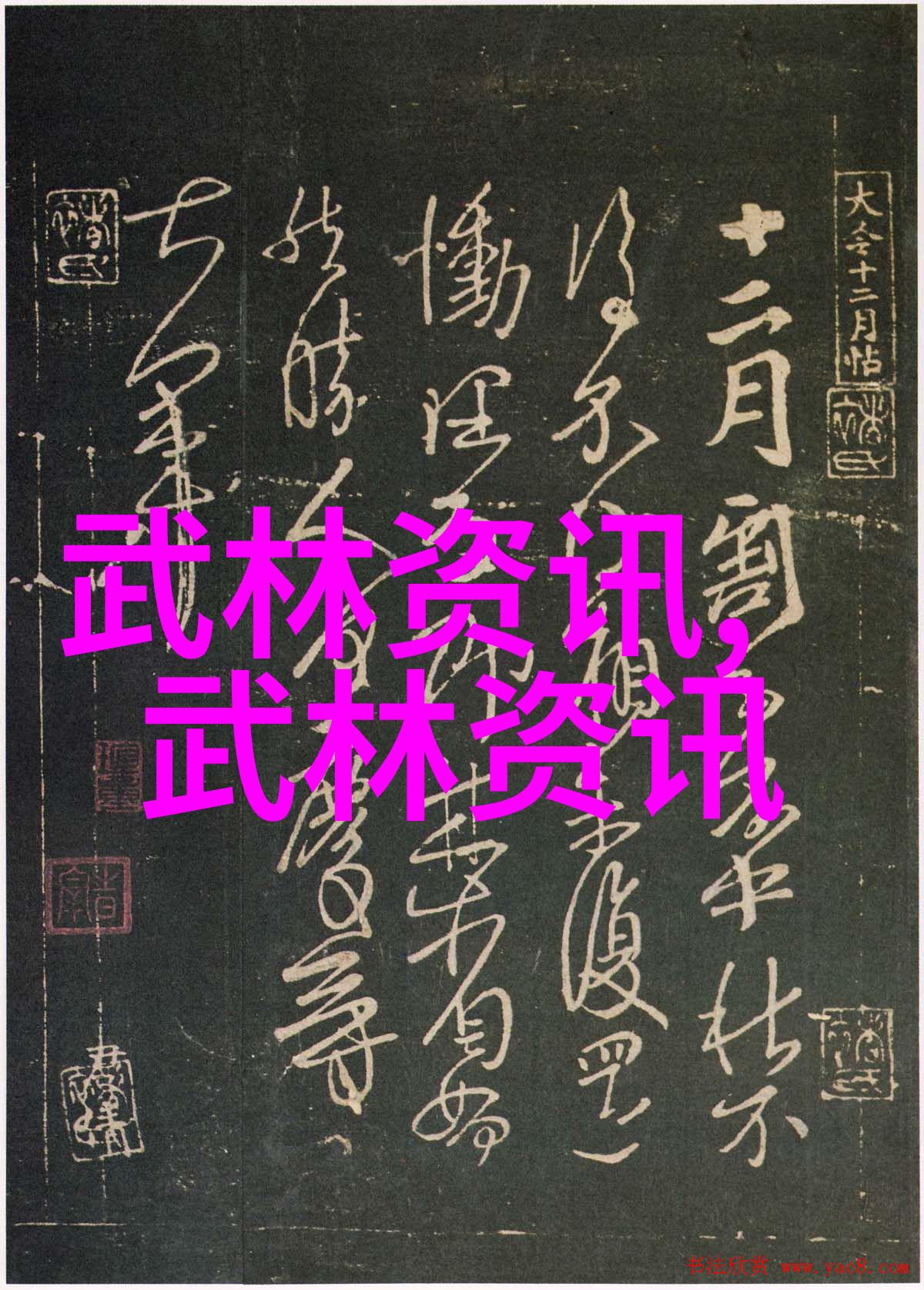 昆仑太极门武林八大门派掌门人的秘密之物