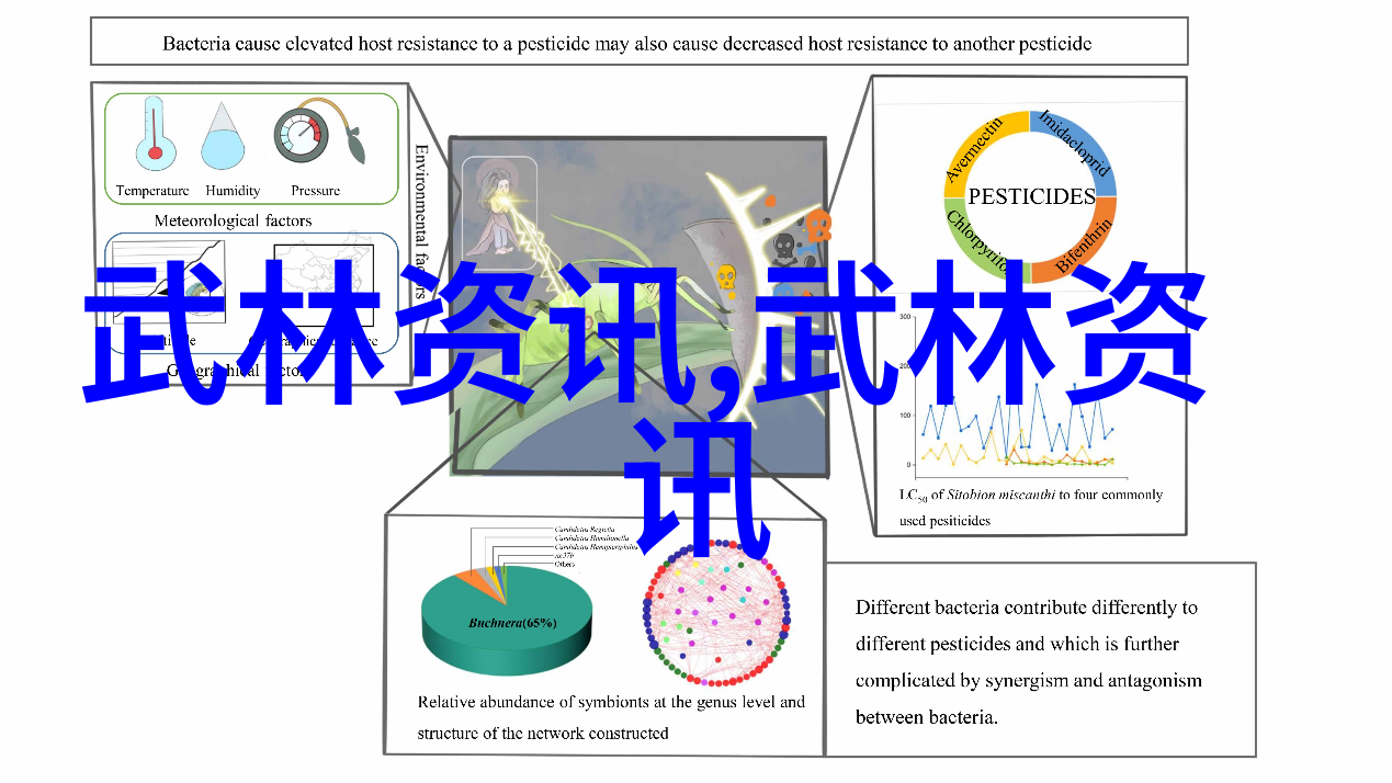 古代武功秘籍排名-天下第一技艺揭秘江湖绝学的真相